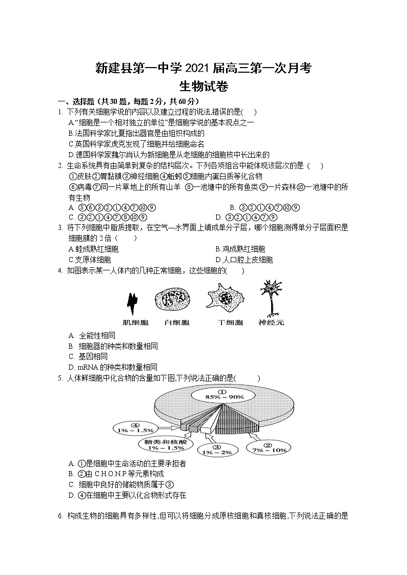 2021南昌新建县一中高三第一次月考生物试卷含答案第1页