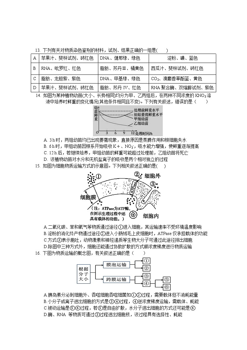 2021南昌新建县一中高三第一次月考生物试卷含答案第3页