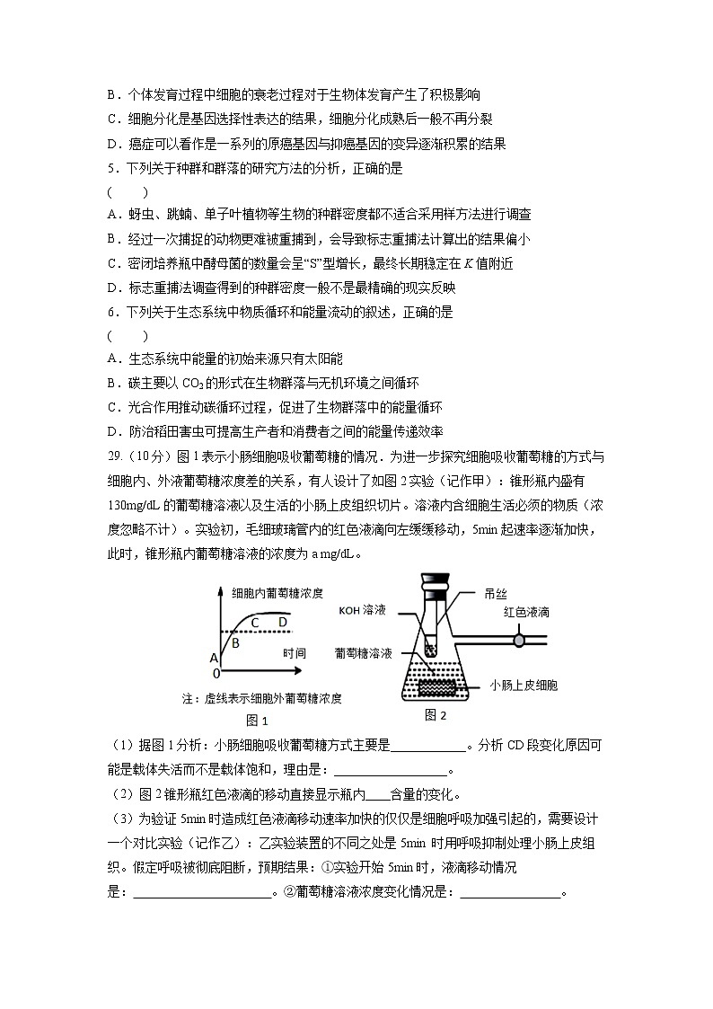 2021桂林十八中高三上学期第二次月考理科综合生物试题含答案第2页