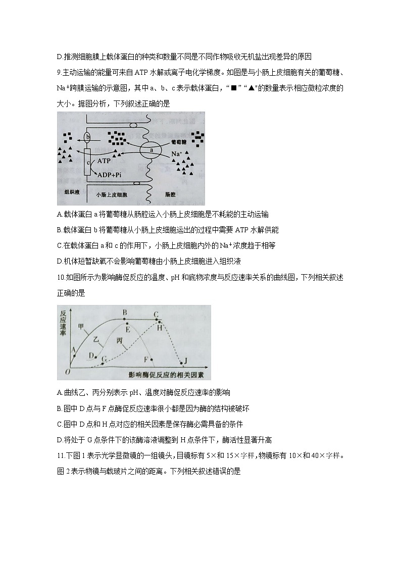2021黄冈高三9月质量检测试题生物含答案第3页