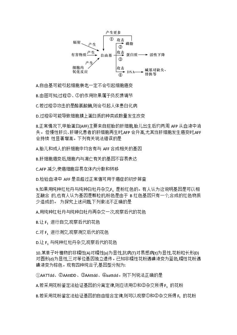 试题第3页