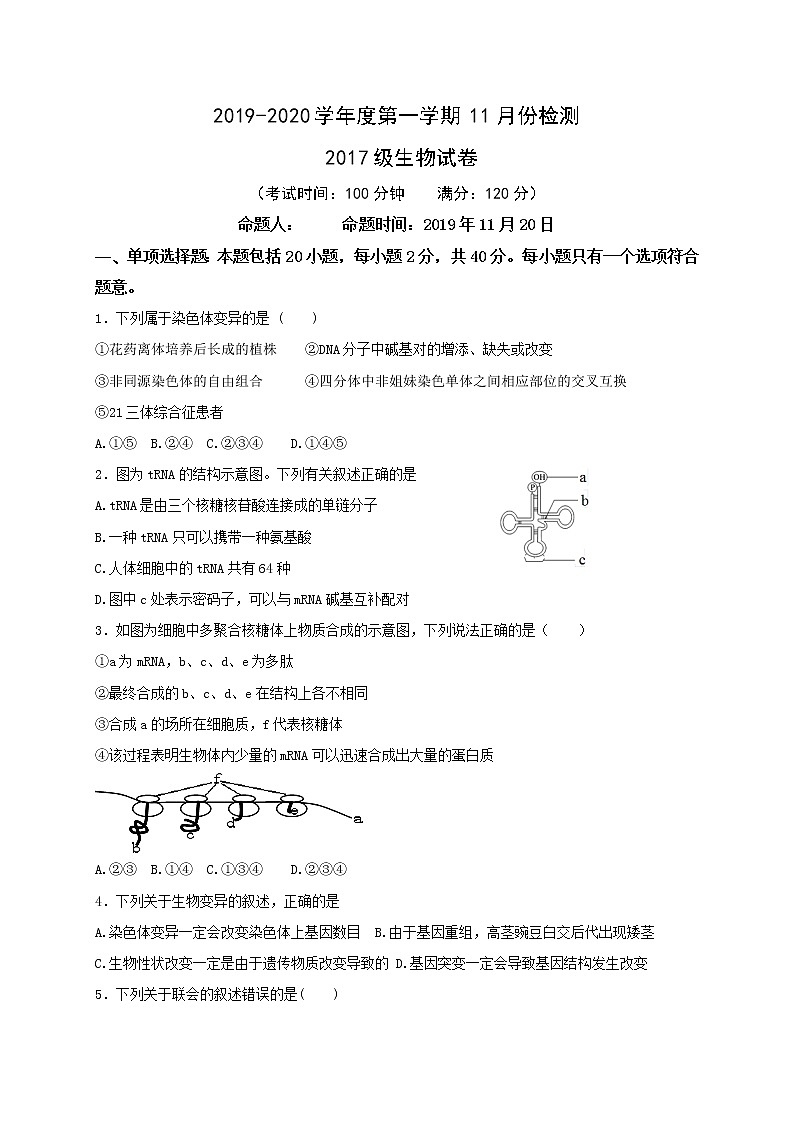 2020江苏省东台创新高级中学高三11月检测生物试题含答案第1页