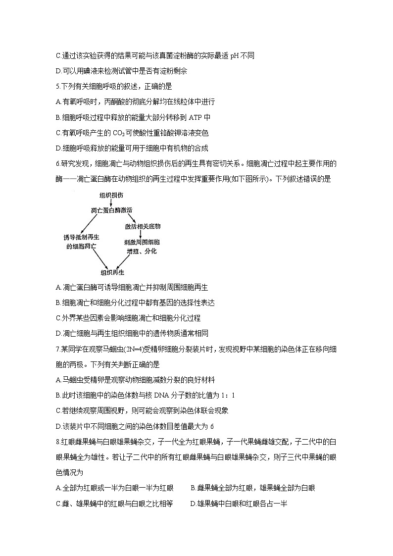 2021河南省天一大联考“顶尖计划”高三毕业班上学期第一次联考试题生物含答案第2页