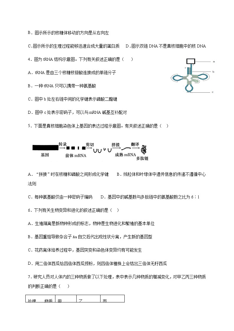 2021石嘴山三中高三上学期第一次月考生物试题含答案第2页