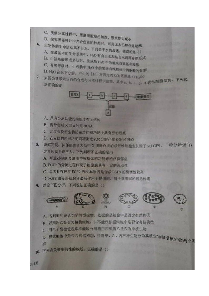 2021泉州安溪八中高三上学期第三周质量检测生物试题图片版含答案第2页