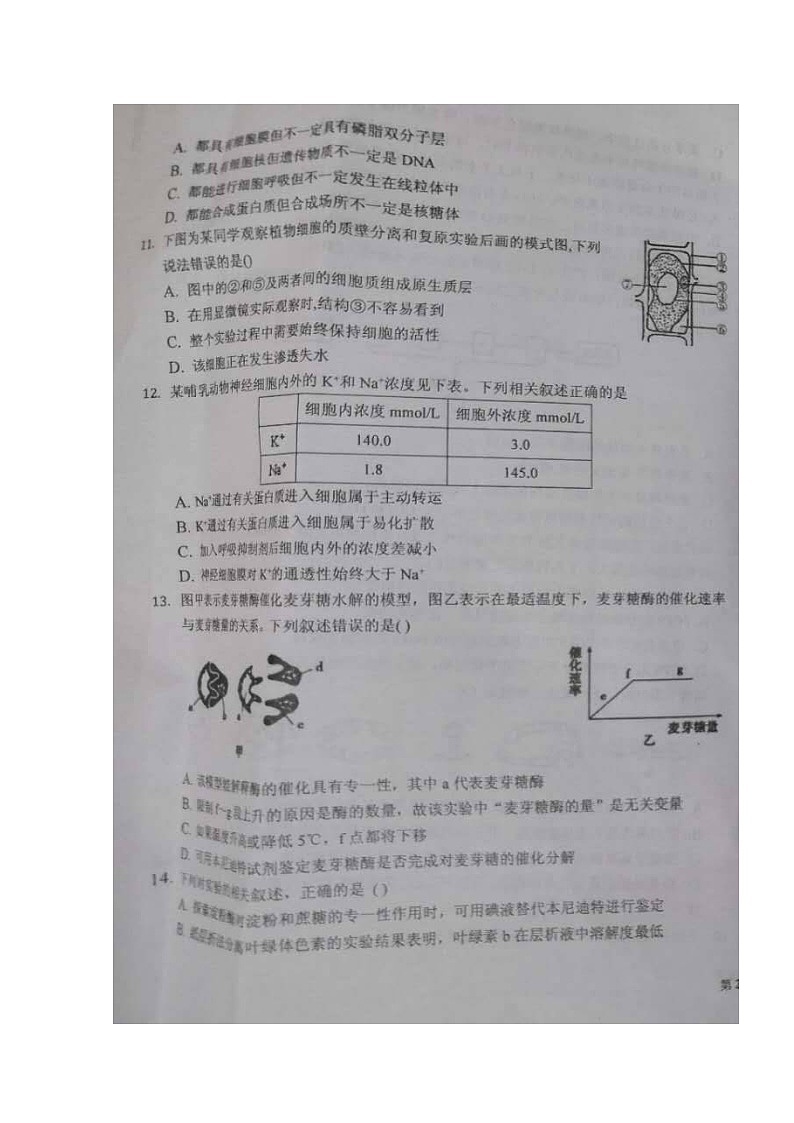 2021泉州安溪八中高三上学期第三周质量检测生物试题图片版含答案第3页