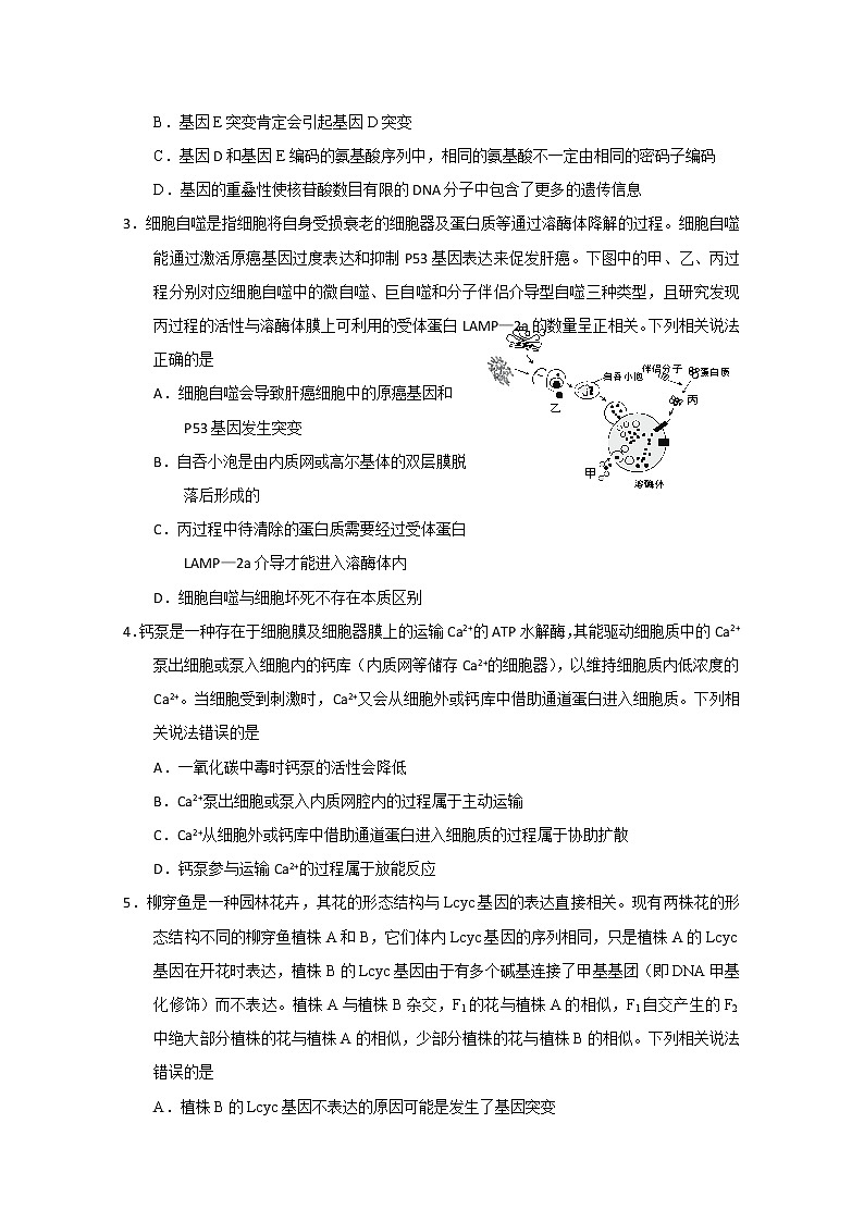 2020威海高三年级高考模拟考(二模)生物试题含答案02