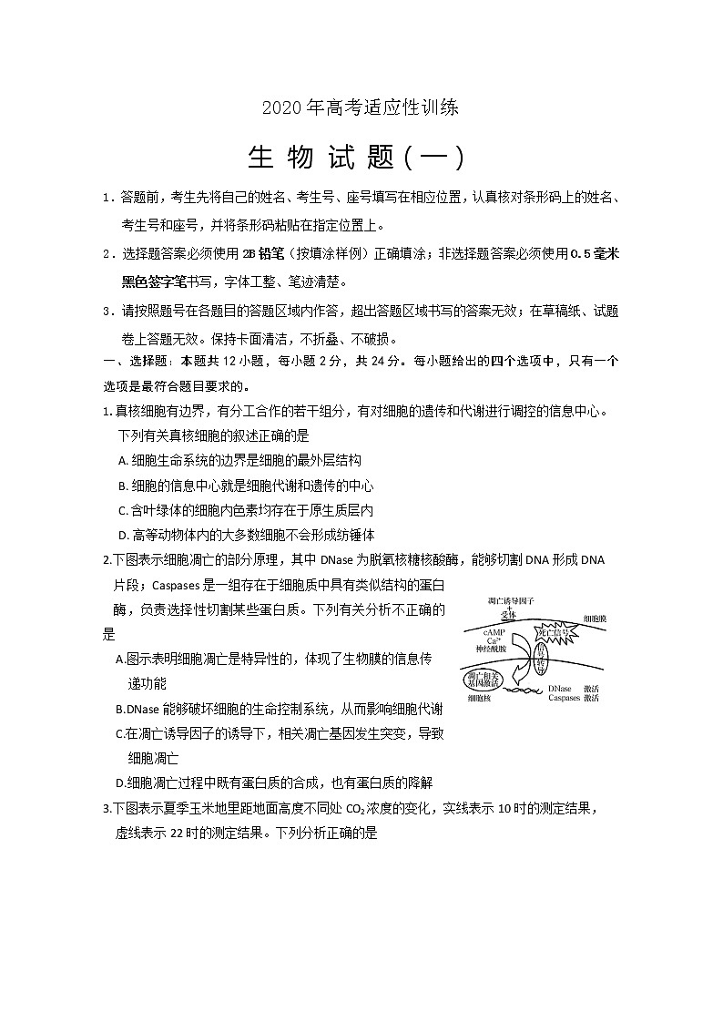 2020泰安肥城高三适应性训练(一)生物试题含答案第1页