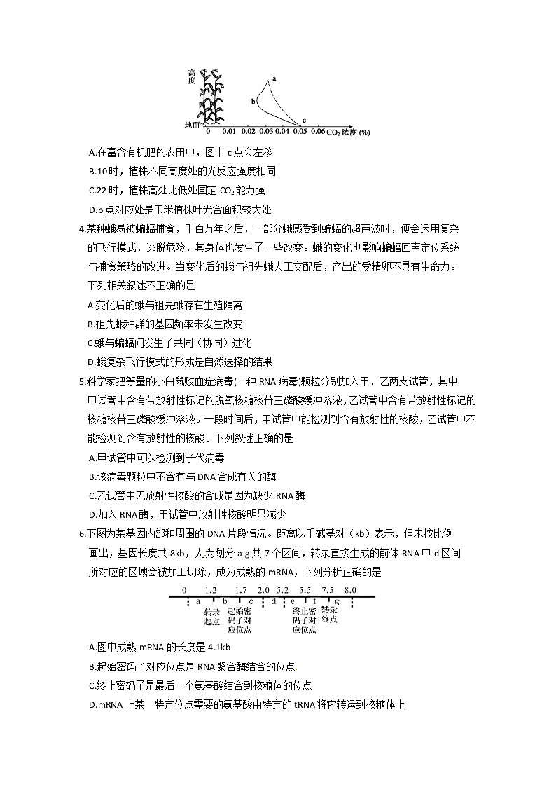 2020泰安肥城高三适应性训练(一)生物试题含答案第2页