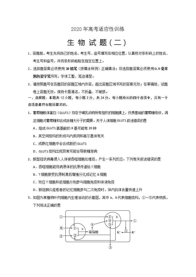 2020泰安肥城高三适应性训练(二)生物试题含答案第1页