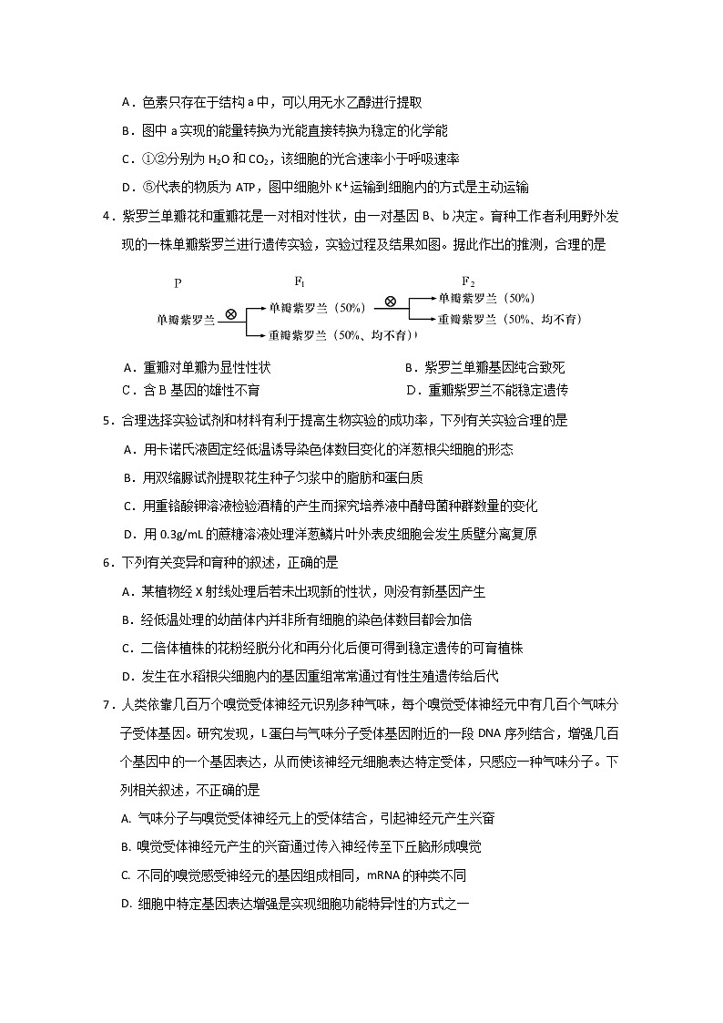 2020泰安肥城高三适应性训练(二)生物试题含答案第2页