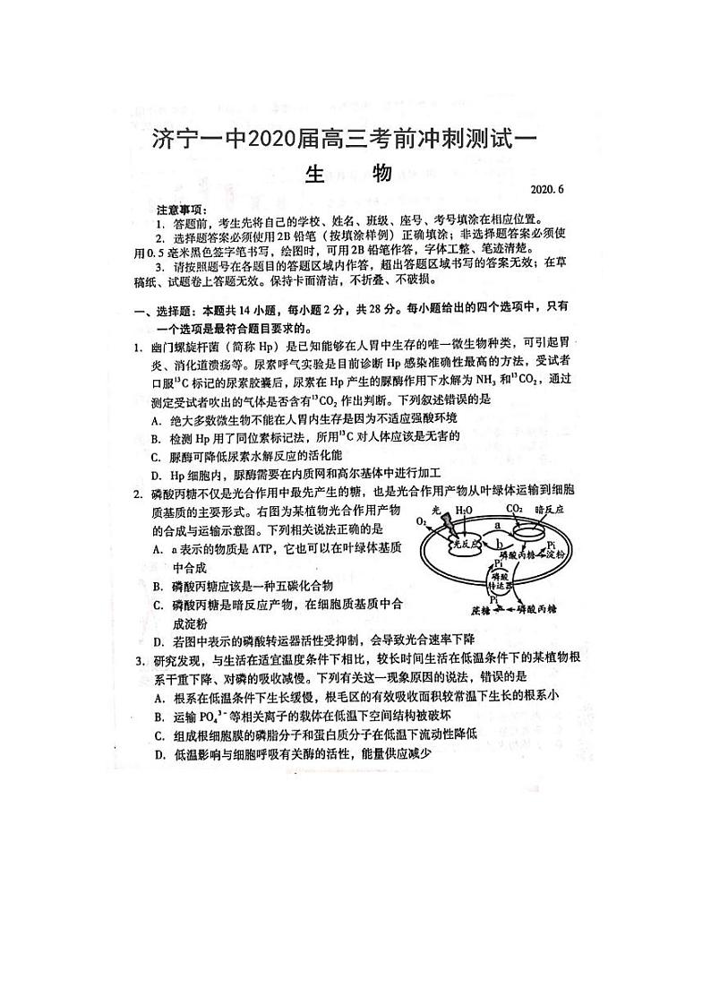 山东省济宁市第一中学2020届高三考前冲刺测试(一)生物试题(扫描版)第1页