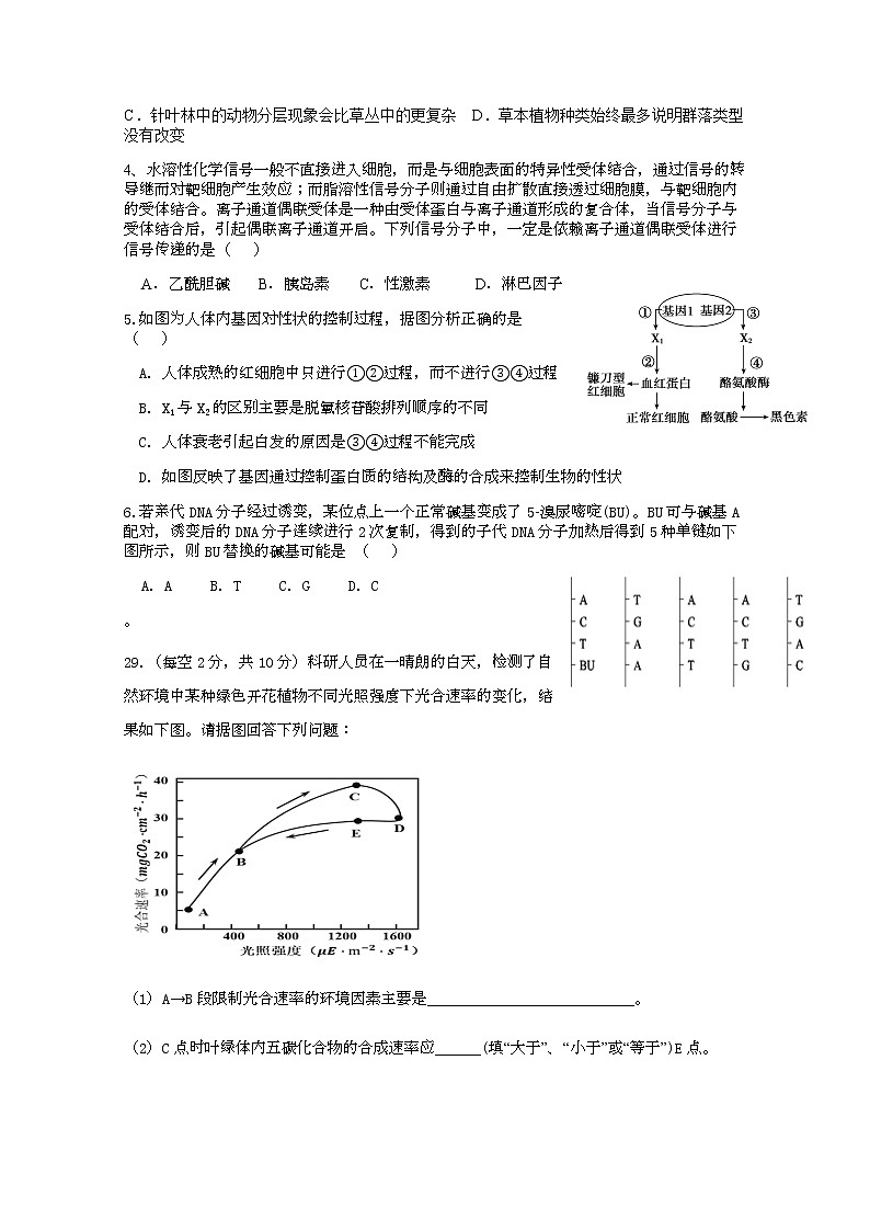 2020上饶横峰中学高三下学期高考适应性考试生物试题含答案02