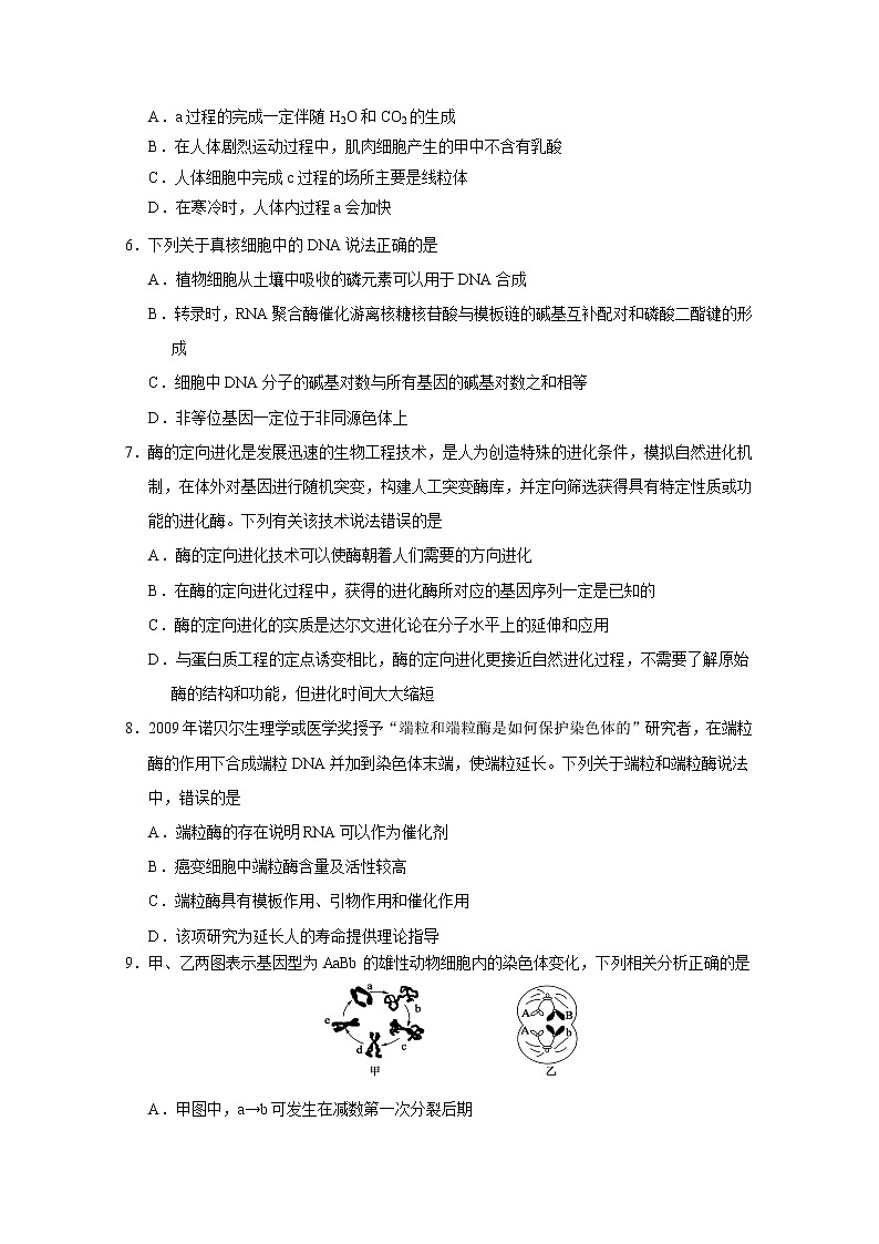 2020连云港赣榆区高三高考仿真训练生物试题含答案第2页