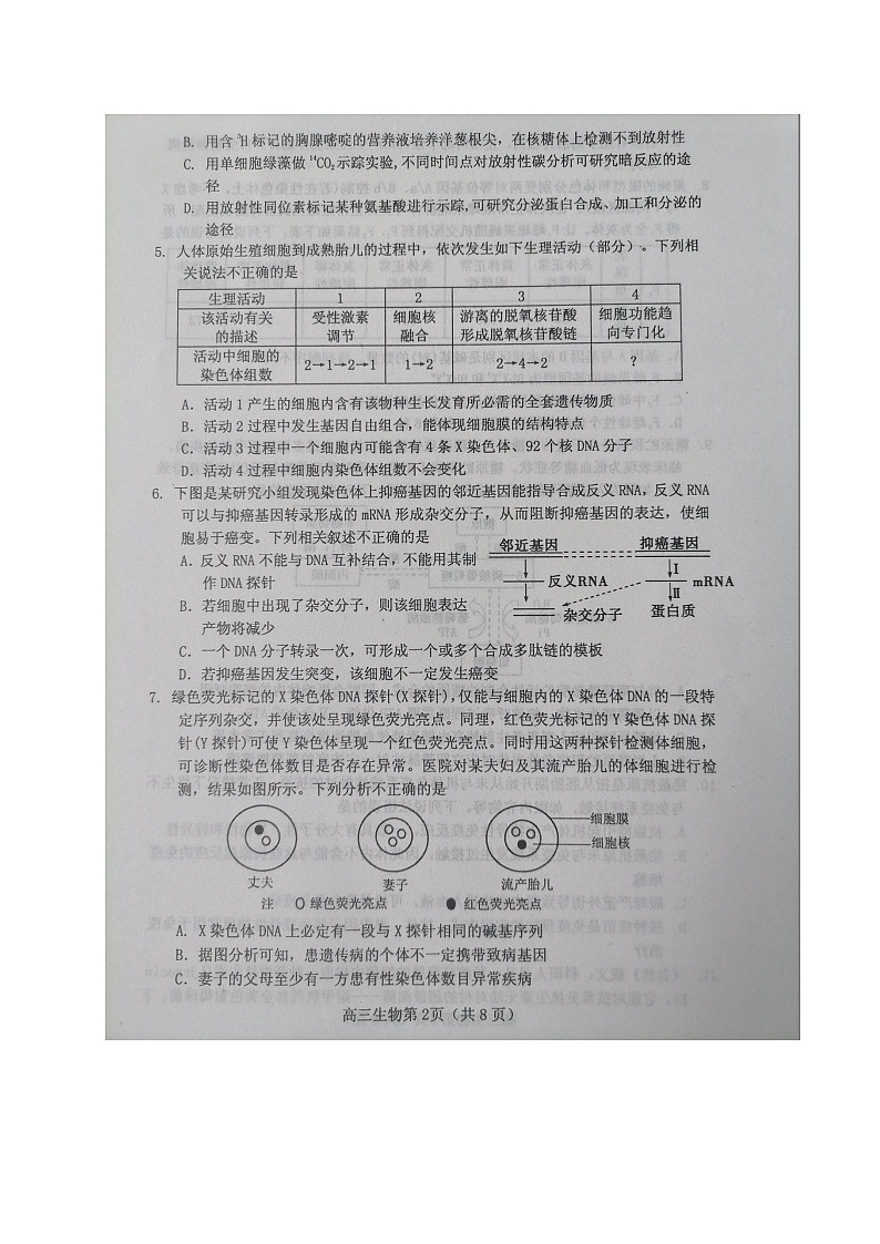 2020烟台高三高考适应性练习(二)生物试题图片版扫描版含答案第2页