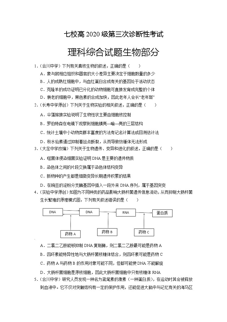 重慶市江津中學(xué)、實(shí)驗(yàn)中學(xué)等七校2020屆高三6月聯(lián)考（三診）理科綜合生物試題Word版第1頁