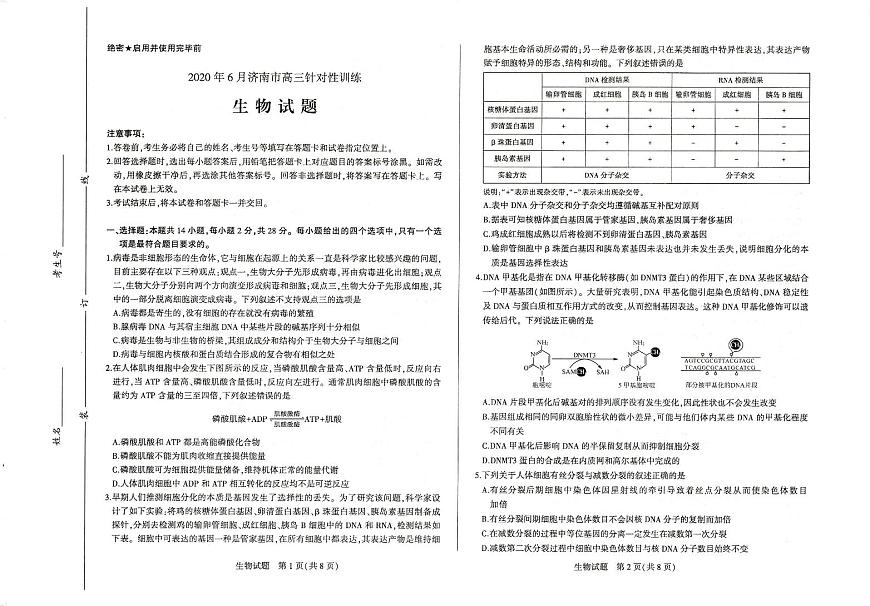 2020年6月濟(jì)南市高三針對性訓(xùn)練生物試題第1頁