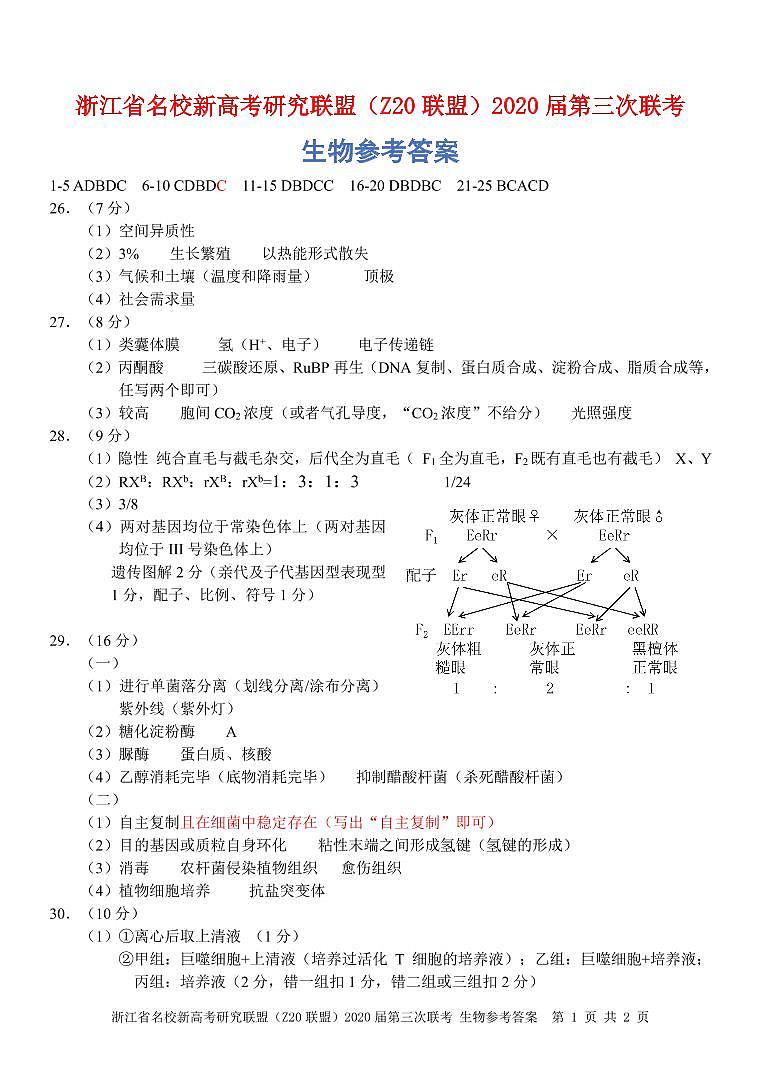Z20联盟-生物参考答案第1页