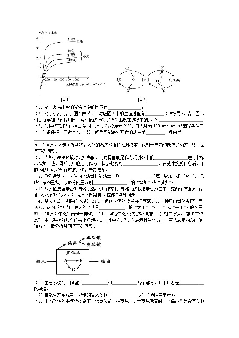 2020泸县二中高三下学期第四次学月考试理综-生物试题含答案第2页