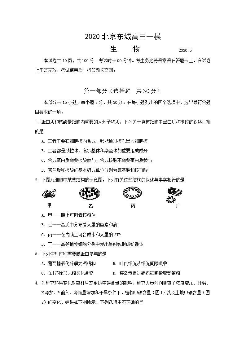 2020北京东城区高三下学期综合练习(一)(一模)生物试题(1卷)含答案01