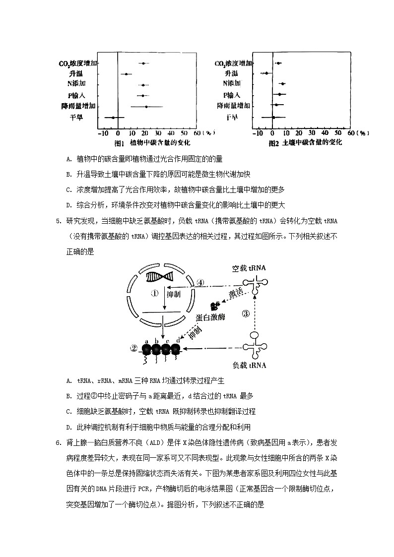 2020北京东城区高三下学期综合练习(一)(一模)生物试题(1卷)含答案02