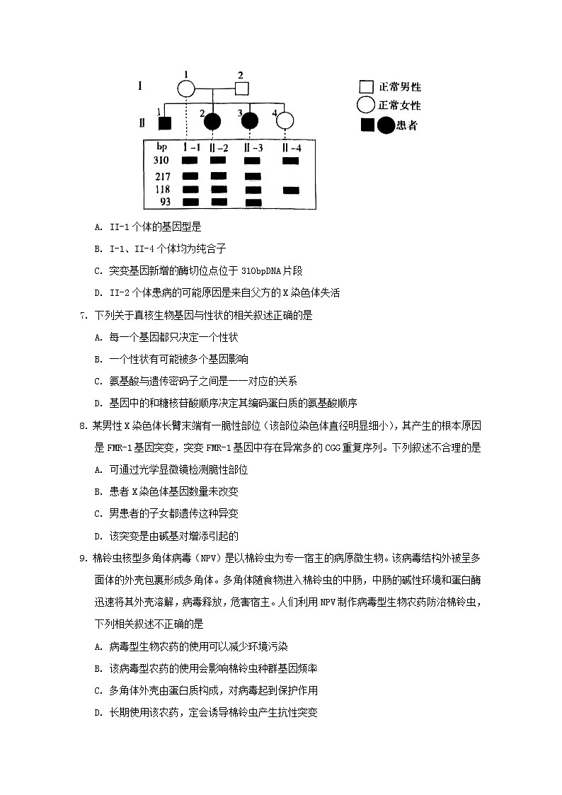 2020北京东城区高三下学期综合练习(一)(一模)生物试题(1卷)含答案03