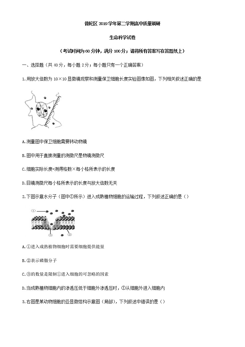2020上海普陀区高三下学期质量调研(二模)生物试题含答案01