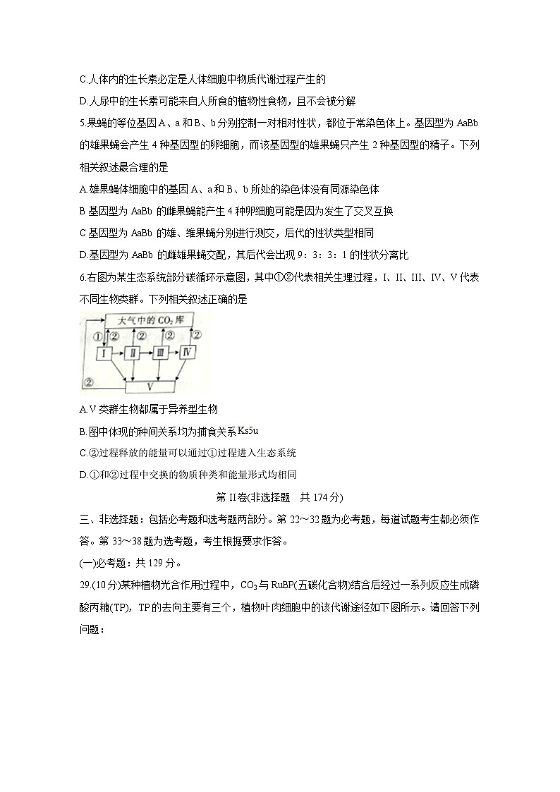 2020辽阳高三二模考试生物含答案第2页