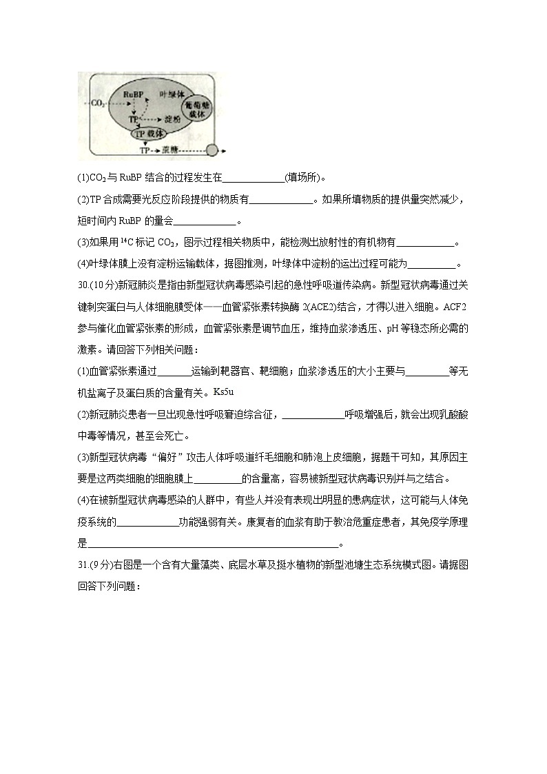 2020辽阳高三二模考试生物含答案第3页