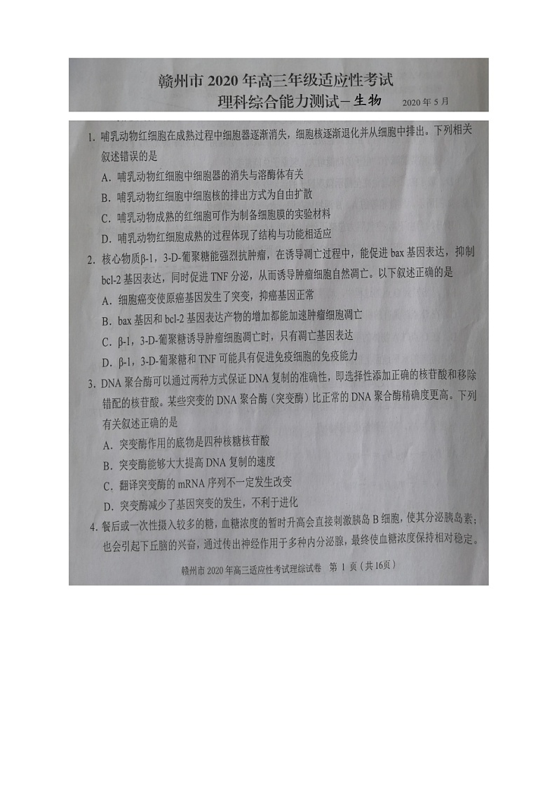 2020赣州高三适应性考试(二模)生物试题扫描版含答案01