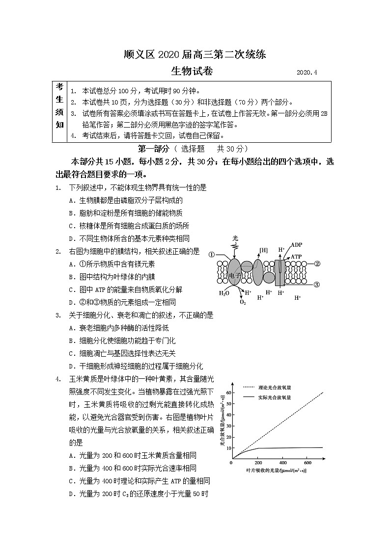 2020北京順義區(qū)高三二模生物試題含答案第1頁