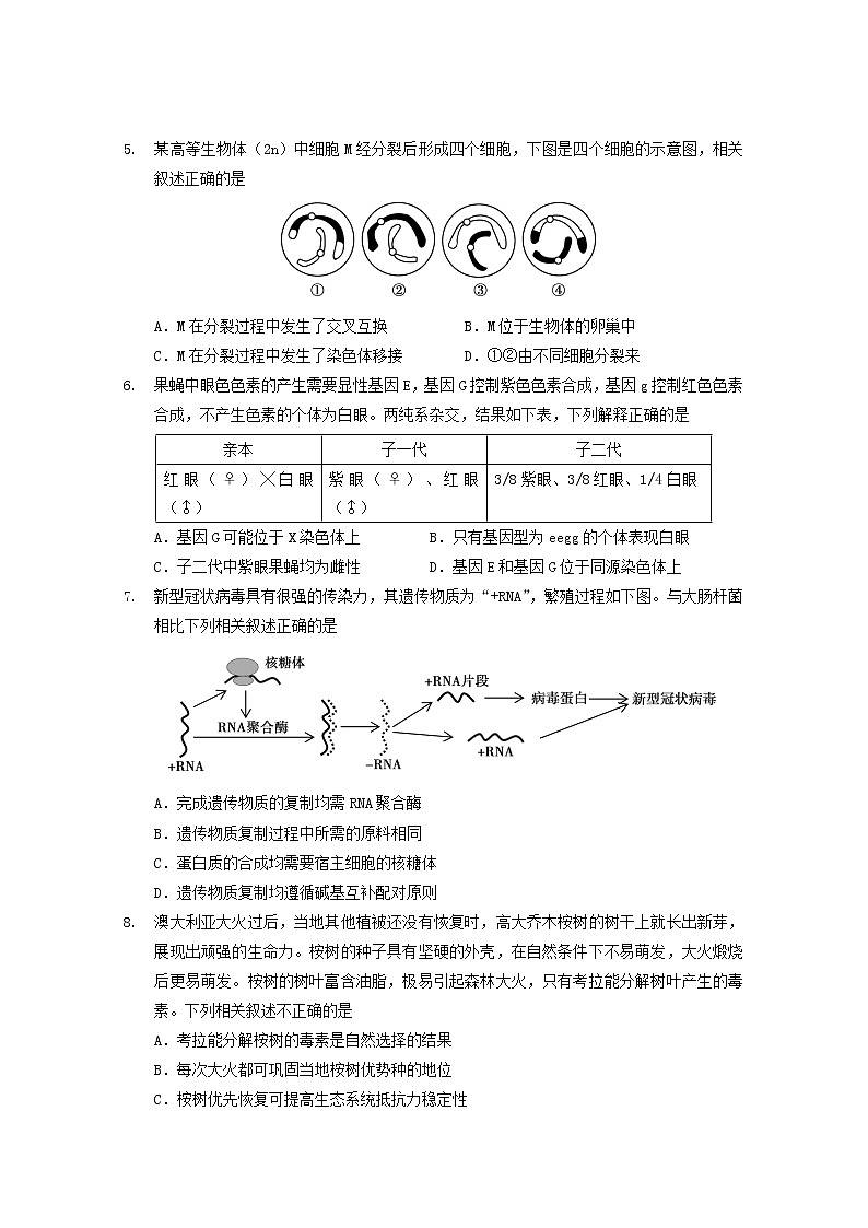 2020北京順義區(qū)高三二模生物試題含答案第2頁