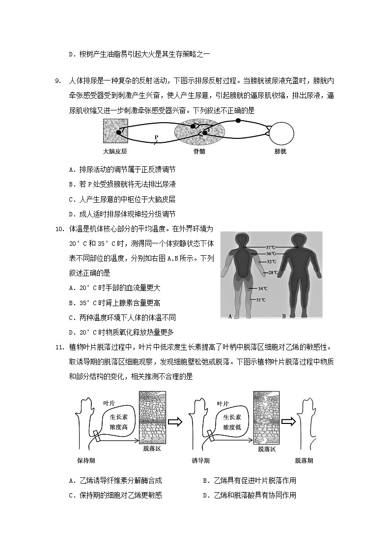 2020北京順義區(qū)高三二模生物試題含答案第3頁