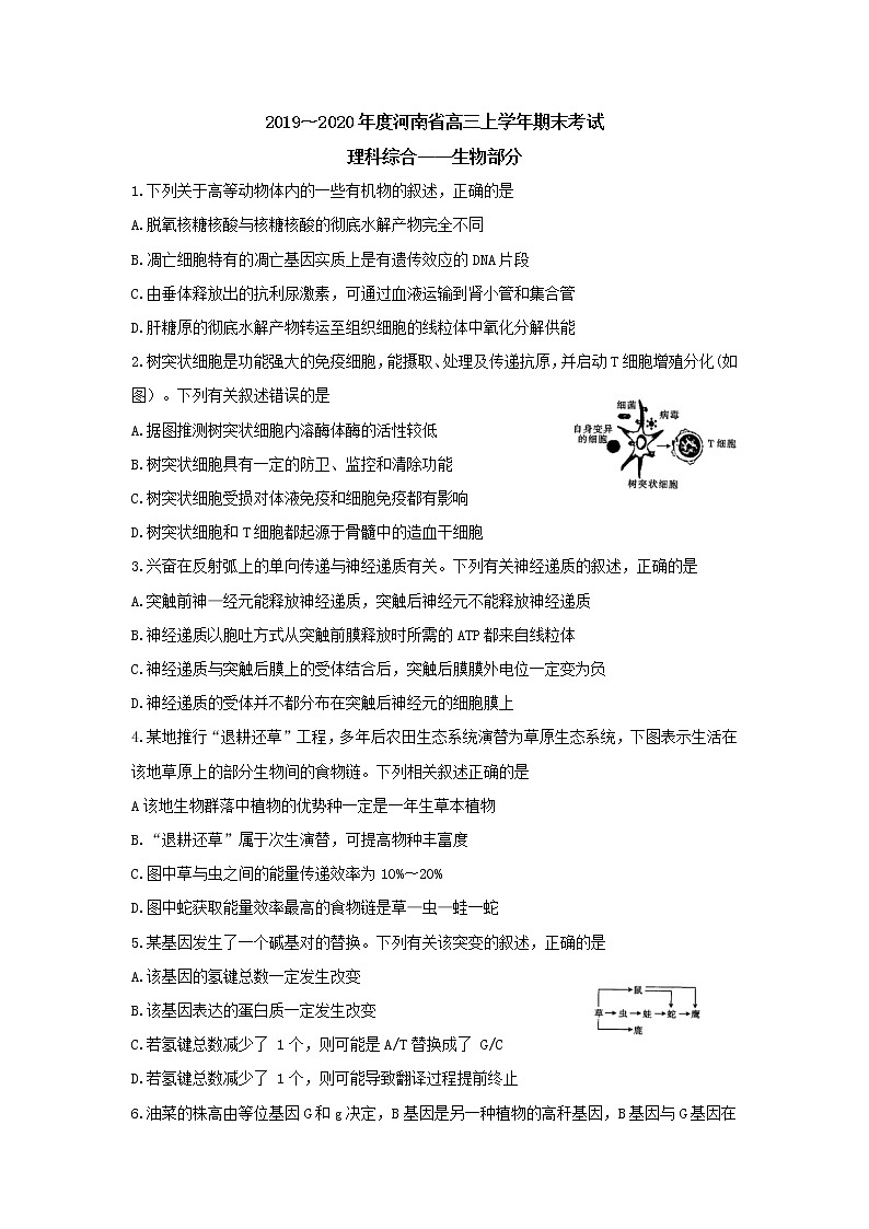 2020河南省高三上学期期末考试理综生物含答案byfeng01