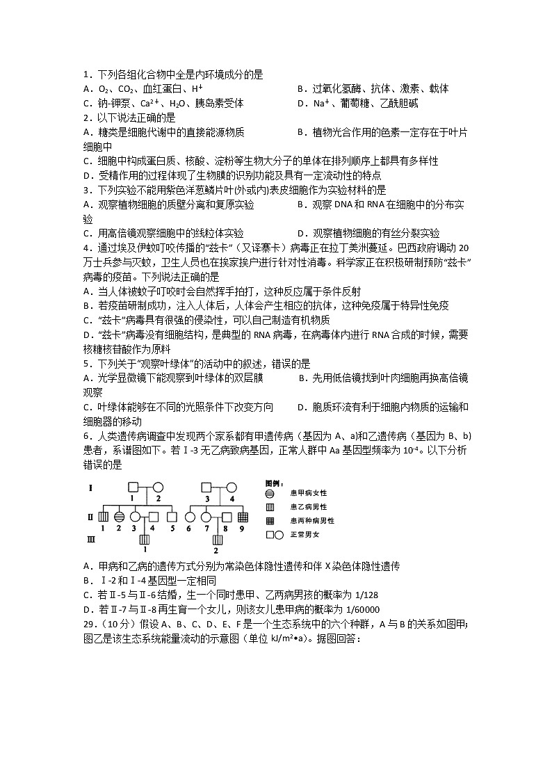 2020宜宾四中高三下学期第一次在线月考生物试题含答案第1页