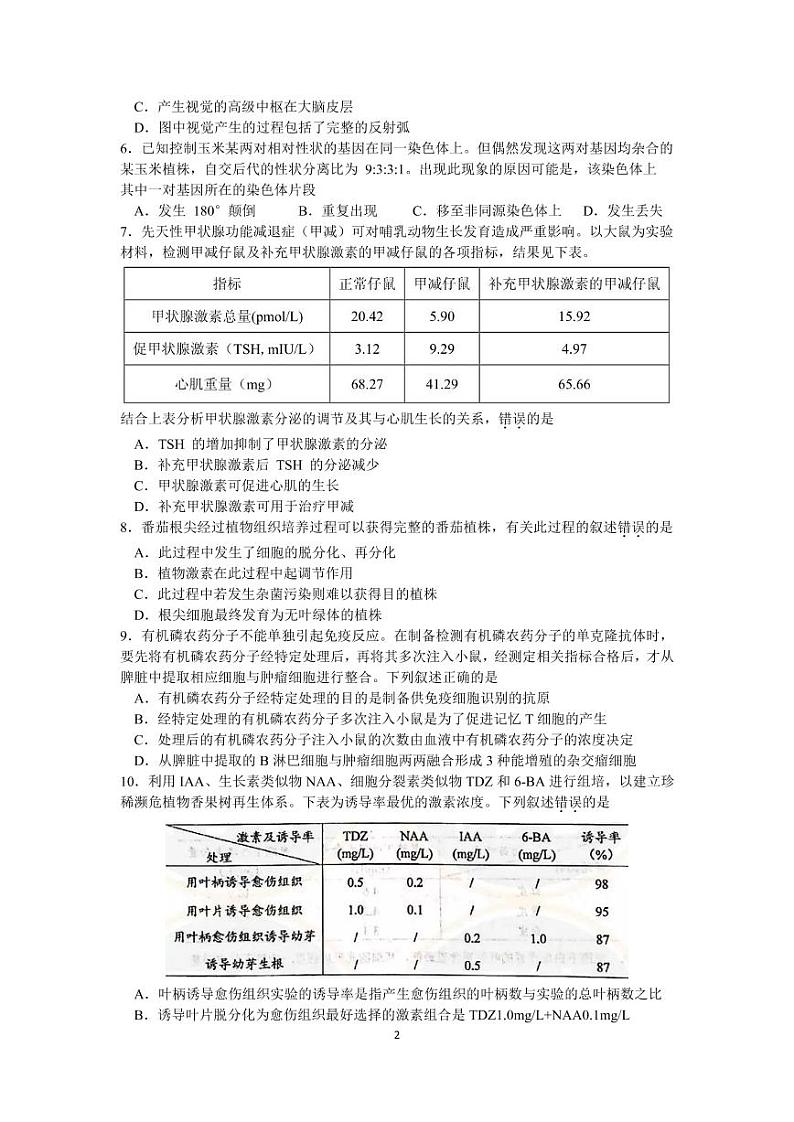 江苏省徐州市睢宁县2020届高三下学期线上阶段性检测生物试卷(PDF版)第2页