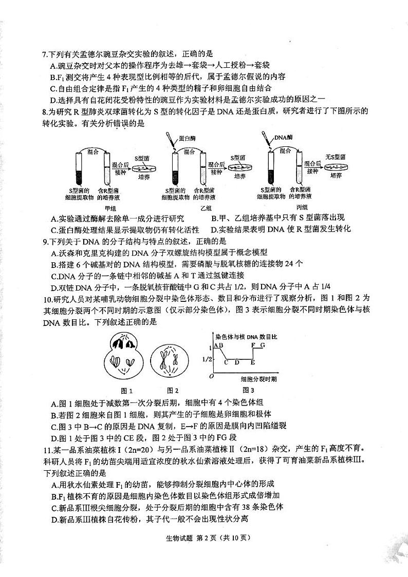 2020徐州高三上学期第一次质量抽测生物试题PDF版缺答案第2页