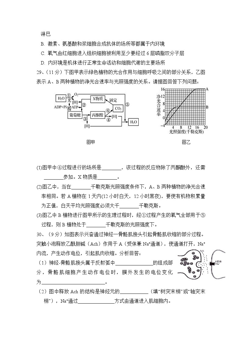 2020石嘴山三中高三上学期期末考试生物试题含答案03