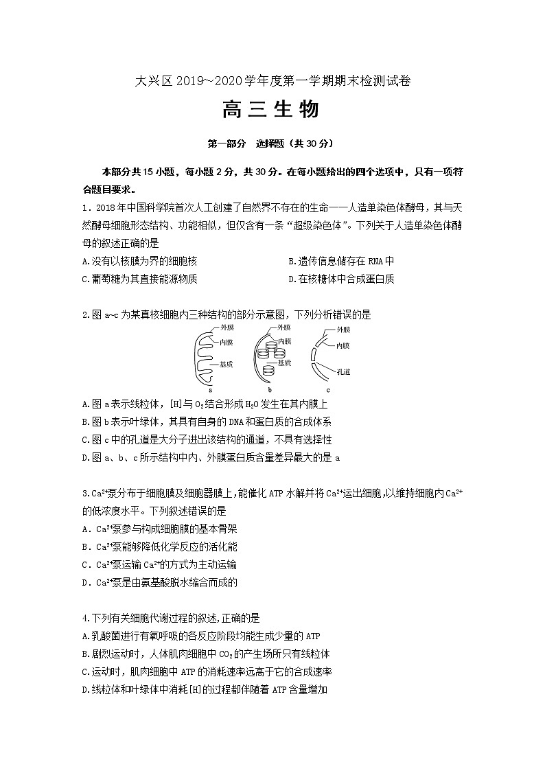 2020北京大兴区高三上学期期末考试生物试题含答案第1页