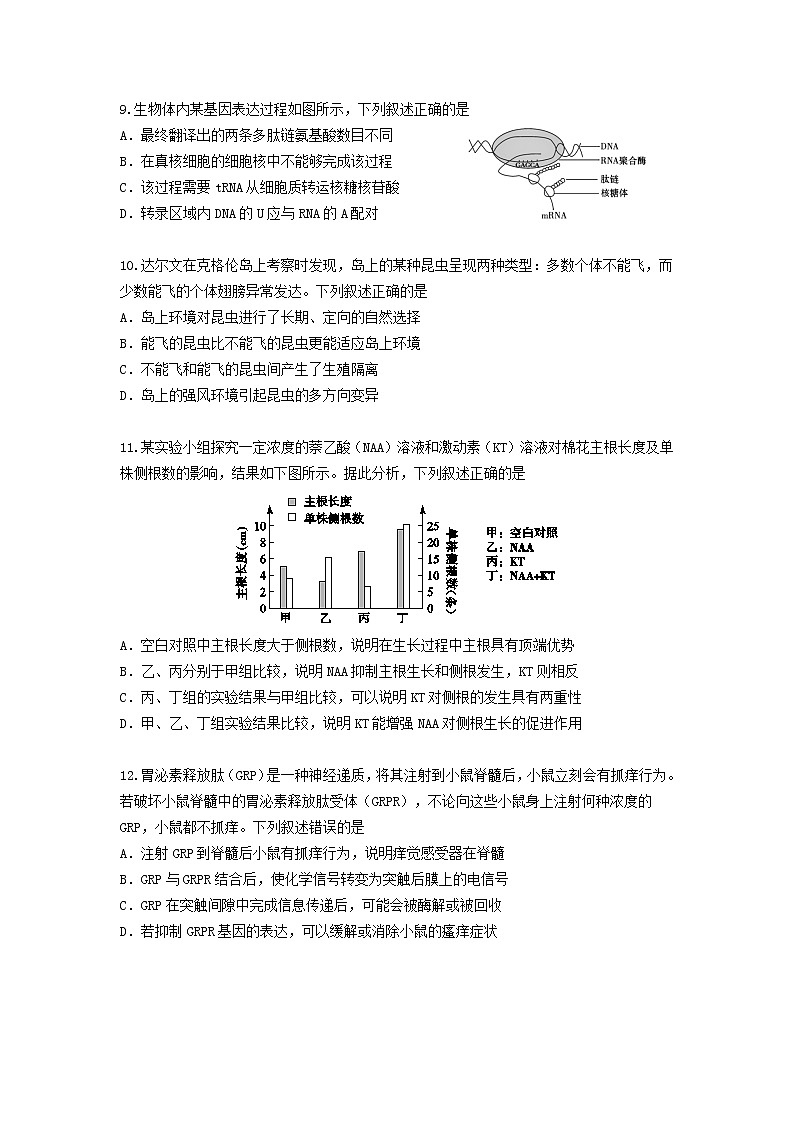 2020北京大兴区高三上学期期末考试生物试题含答案第3页