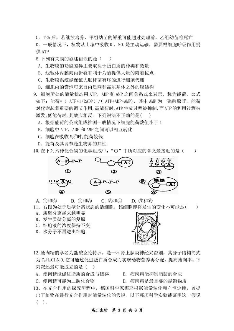 2020新蔡县高三12月调研考试生物试题PDF版含答案03