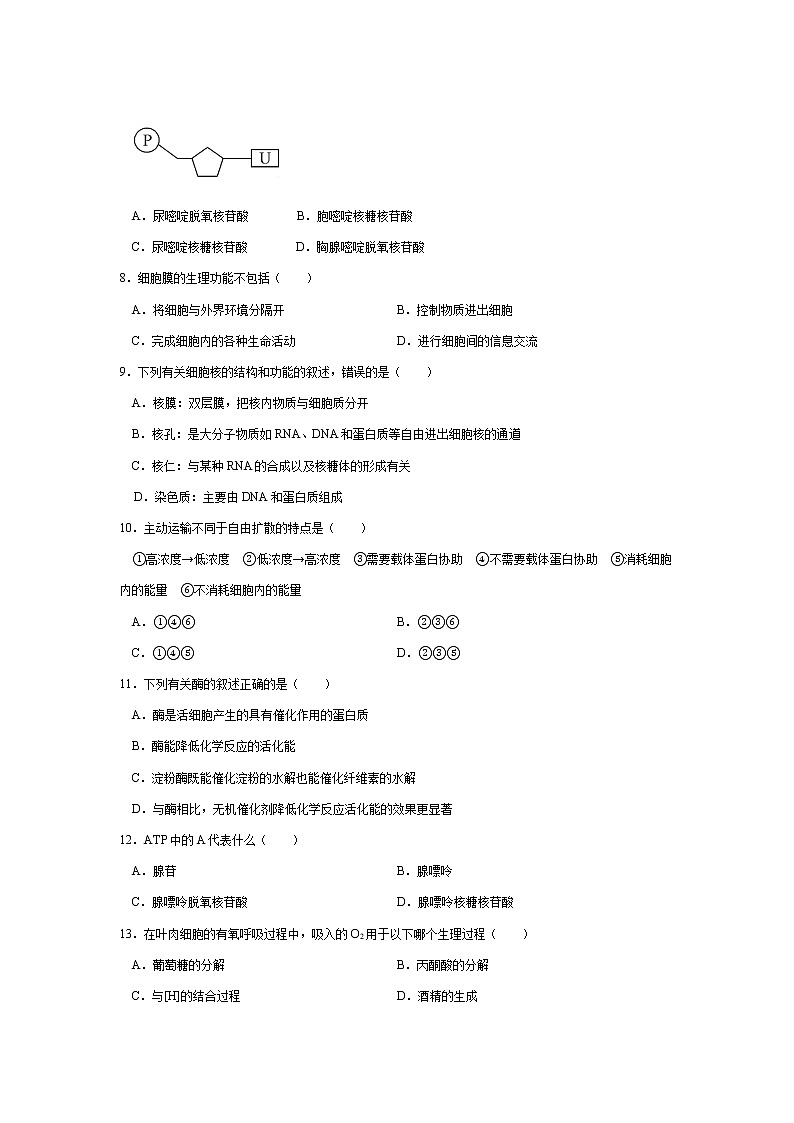 2021水富县云天化中学高二下学期期中考试生物(文)试题含答案02