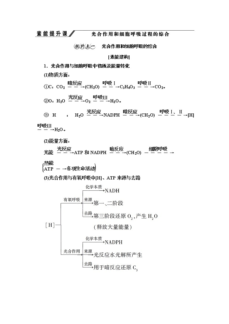 苏教版高中生物必修1第3章第4节素能提升课光合作用和细胞呼吸过程的综合学案01