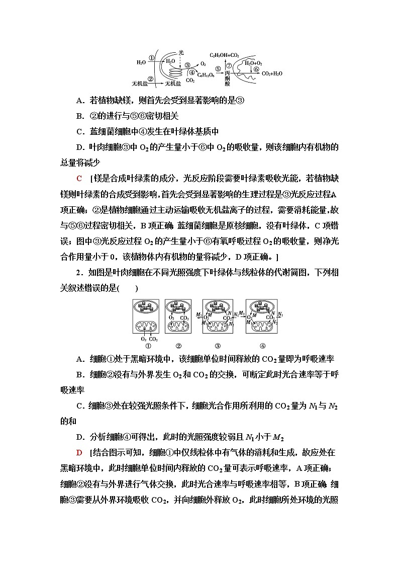 苏教版高中生物必修1第3章第4节素能提升课光合作用和细胞呼吸过程的综合学案03