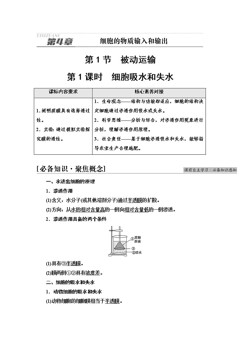 人教版高中生物必修1第4章第1节第1课时细胞吸水和失水学案第1页