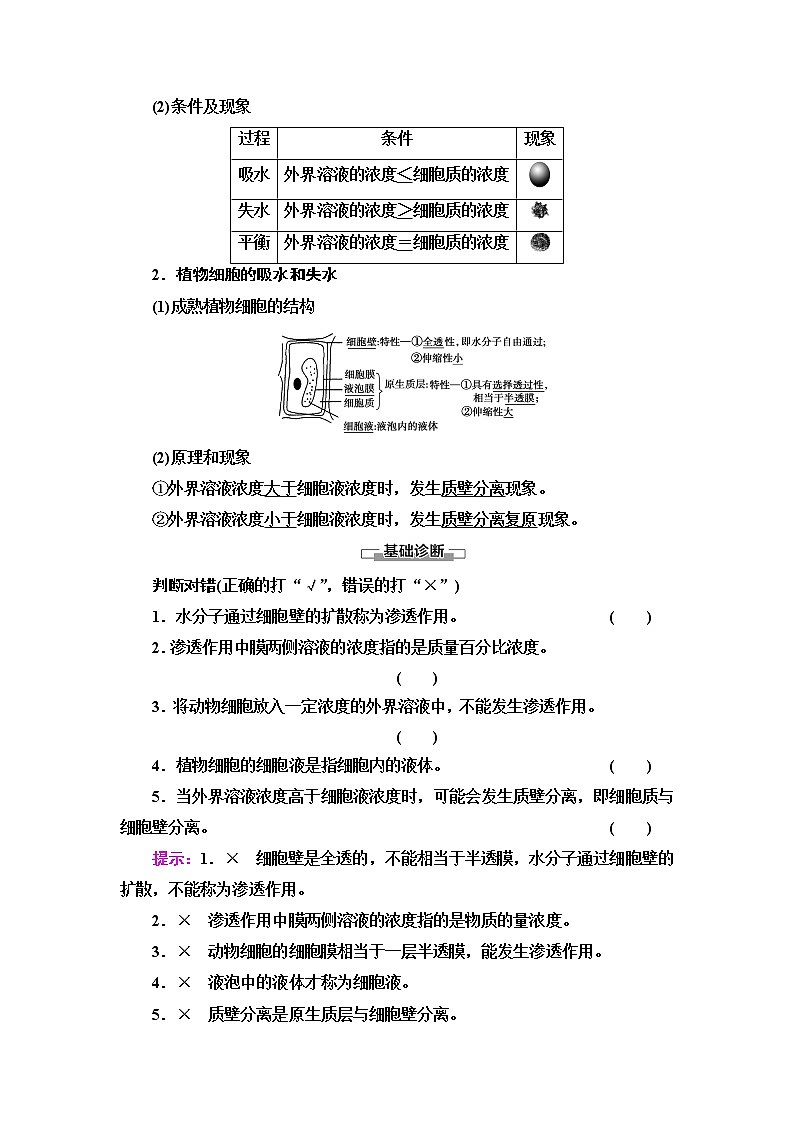 人教版高中生物必修1第4章第1节第1课时细胞吸水和失水学案第2页