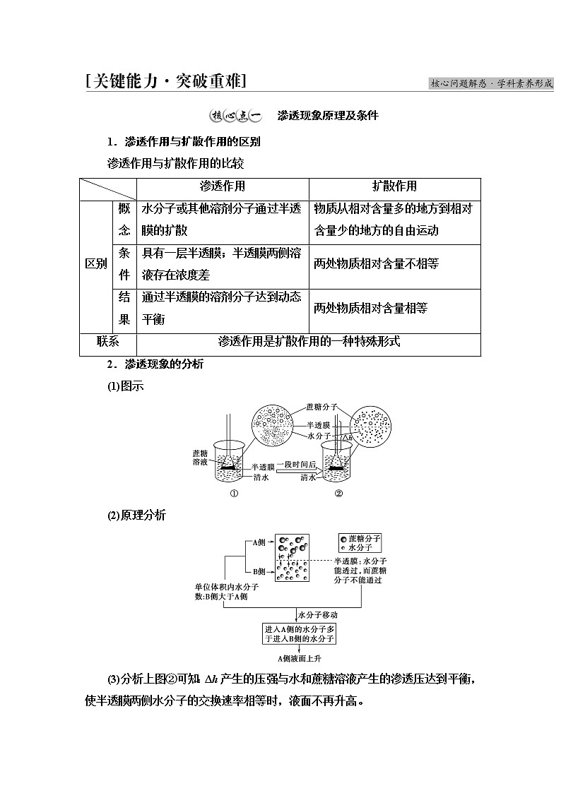 人教版高中生物必修1第4章第1节第1课时细胞吸水和失水学案第3页