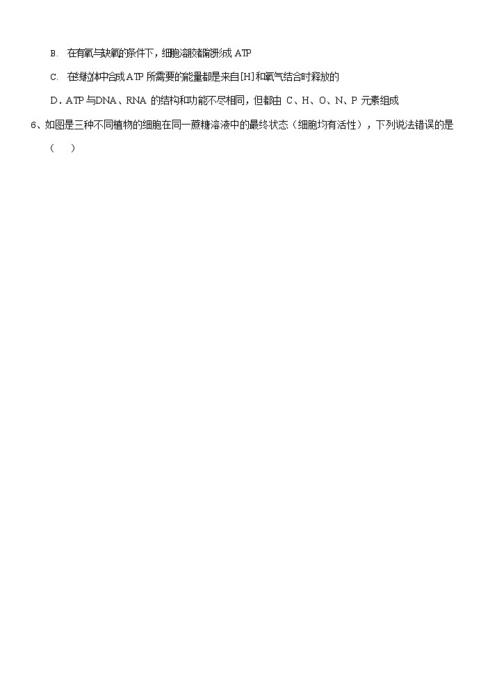 2021湖州德清县三中高二下学期返校考试生物试题含答案第2页