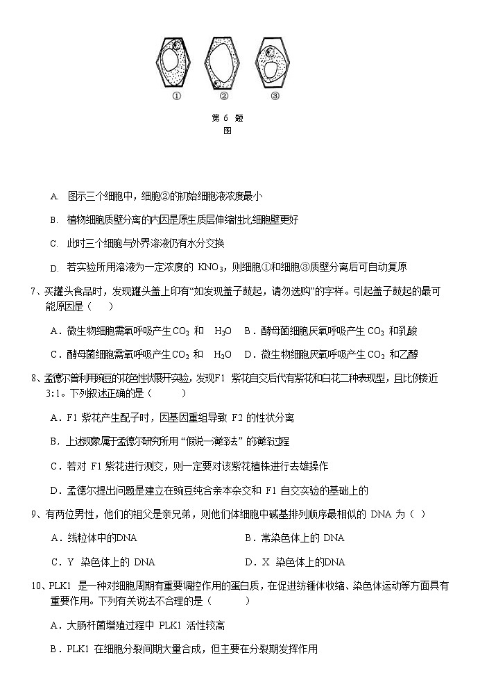 2021湖州德清县三中高二下学期返校考试生物试题含答案第3页