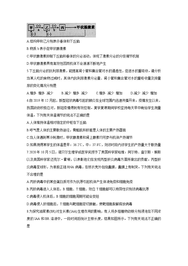 2021湖北省新高考联考协作体高二上学期期末考试生物含答案第2页